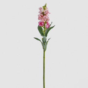 BOCCADILEONE REX Rosa - 59cm